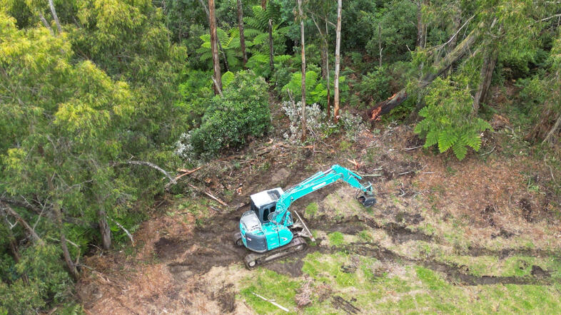 Forestry clearing Forestry clearing